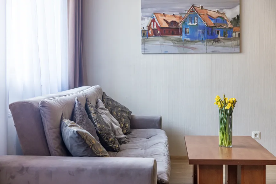 Pilka sofa su pagalvėlėmis po paveikslu su namais