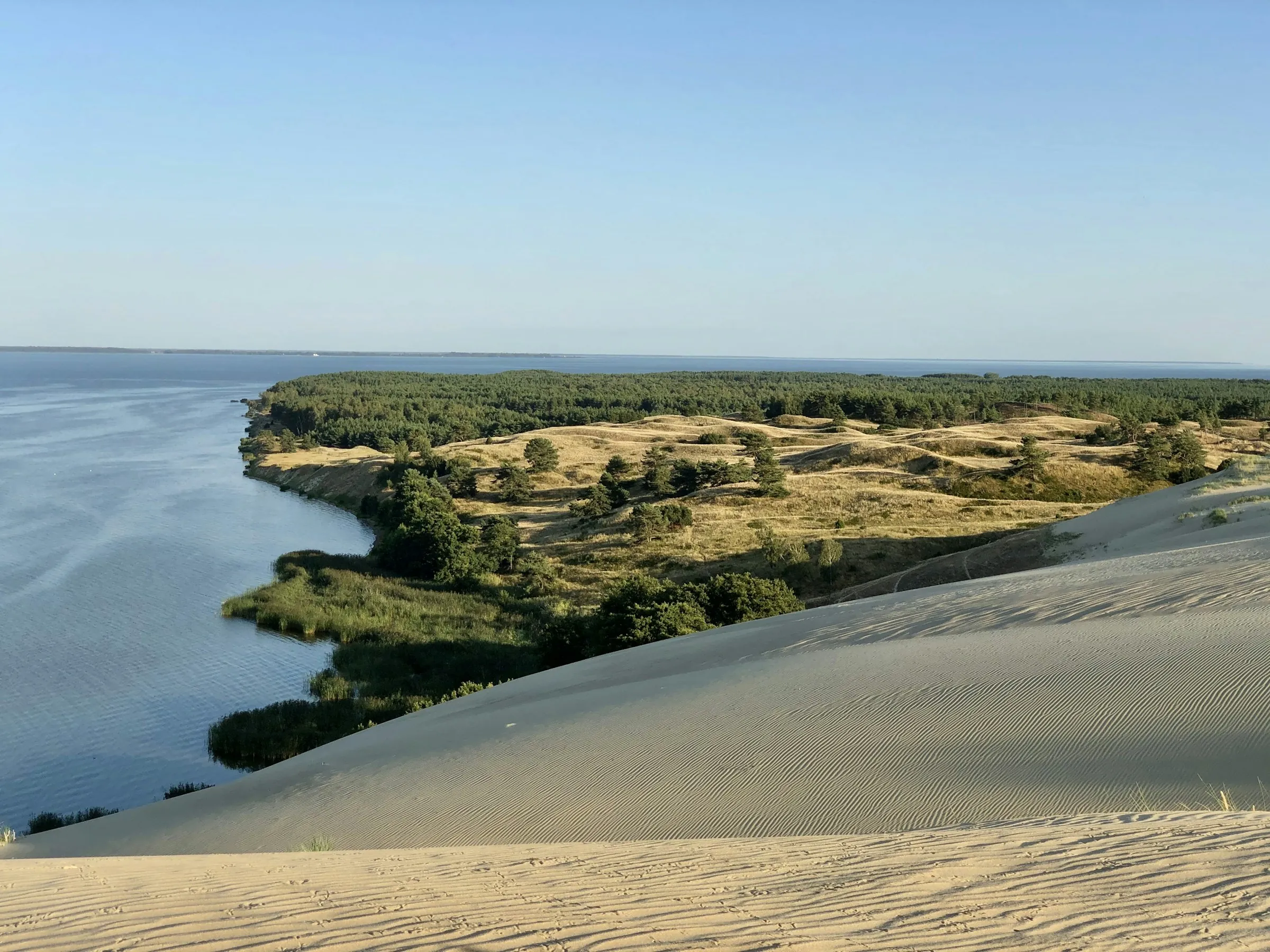 Kopa ir marios Kuršių nerijoje