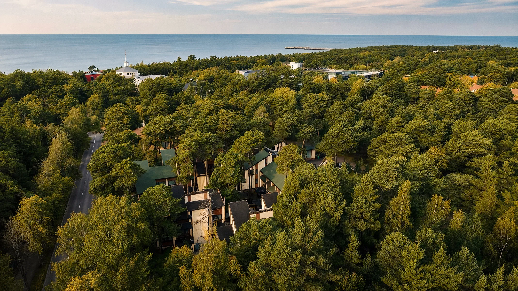 Palangos pajūris ir pušynas iš paukščio skrydžio